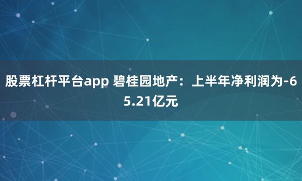 股票杠杆平台app 碧桂园地产：上半年净利润为-65.21亿元